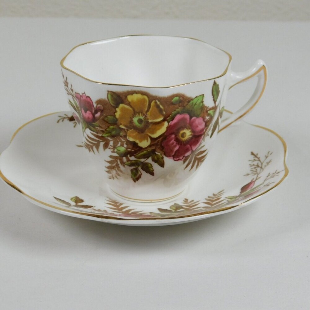 Rosina 4999 White Cup Saucer Pink Yellow Flowers Brown Leaves Bone China England